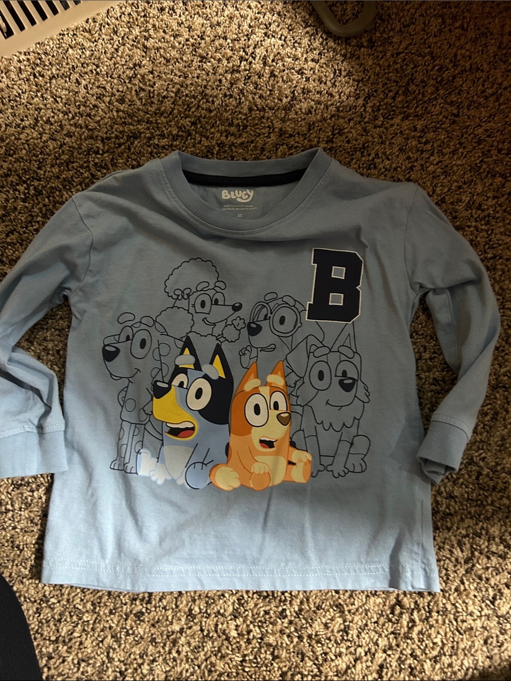 Bluey toddler top